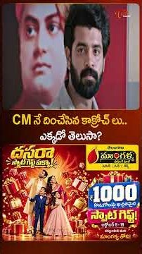 CMనే దించేసిన కాక్రోచ్ లు..ఎక్కడో తెలుసా? #amaravatifiles #telugumovies #shorts #ytshorts #teluguone