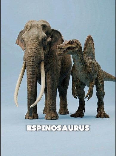 ¿Cuál fue el mamífero más grande de la historia? Palaeoloxodon