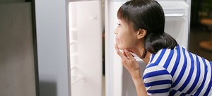 Common Refrigerator Problems and How to Solve Them | DoItYourself.com