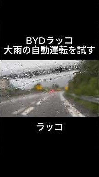 話題のBYDラッコ、カーブ減速機能でどんな高速でもスイスイ自動運転してくれるぞ！ #BYD #BYDラッコ #中国EV