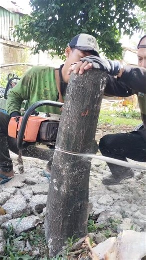 Woodworking project firewood cutting techniques #shortvideo #firewood #woodworking