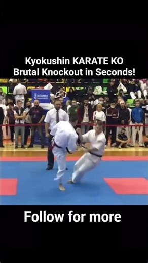 Kyokushin KARATE KO | Brutal Knockout in Seconds! #kyokushin #kyodokyokushin #karate #knockout