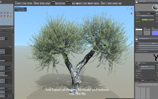 Speedtree结合扫描树干创建一棵树 3D Olive Photogrammetry Tree - Full modeling Tutorial~1