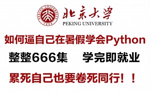 【比刷剧还爽】暑假速成Python！北大计算机大佬带你30天刷完Python全套教程的变态方法，超适合零基础小白，刷完即可兼职+就业！