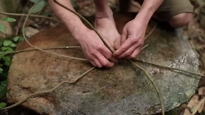 Primitive Technology: 1 Years Survival And Build In The Wild