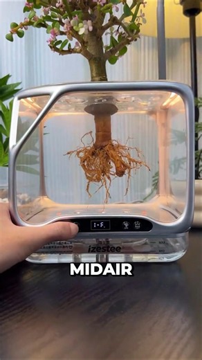 How plants survive without soil. #curiosity #interesting #aeroponics #futurefarming
