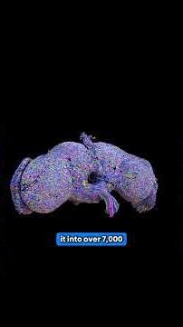 Scientists Copied a Real Brain Into a Computer… And It Started Walking