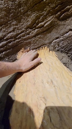 Creating a faux tree stump using our silicone stamps, for an animal enclosure at Science North 🪵 #rockscapescanada #rockreplica #fauxrock #construction #design #build #artist #art #artificialrock #concrete #fauxlog #fauxwood #artificialwood #stamping #stamp #texture | Rockscapes