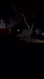 4K views · 15 reactions | Ghost  in the night  | Prince 1 tv | Facebook