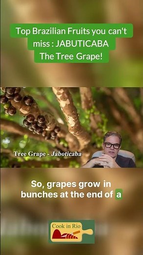 Top Brazilian Fruits you can't miss : JABUTICABA The Tree Grape!