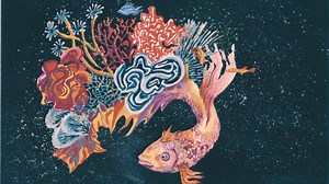 Science without Borders® Challenge – International Student Art Contest