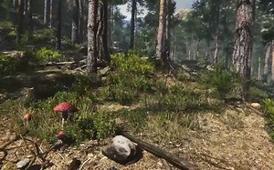 Mountain Environment - Dynamic Nature - YouTube