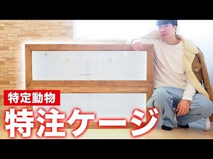 [Specific Animals] We have received a custom-made cage for raising dangerous snakes that can kill...