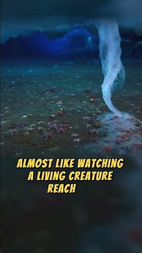 Brinicles: The Ice Fingers of Death