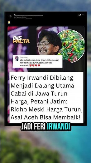 Ferry Irwandi disebut jadi sebab harga cabai turun di Pulau Jawa?!..