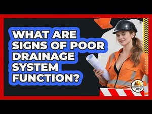 What Are Signs Of Poor Drainage System Function?