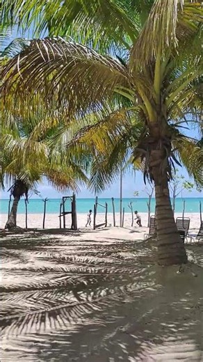 Beautiful Beach #haiti #plage #beach #nature #haitian