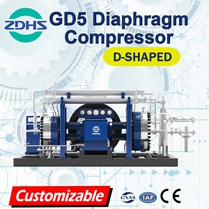 [Hot Item] High Purity Leak Free Fine Chemical Industry HCl Gas Compressor