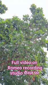 ROMEO RECORDING STUDIO | Dilip Romeo Commedian