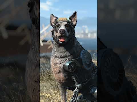 Fallout 4 Anniversary Edition has left the Vault! #fallout