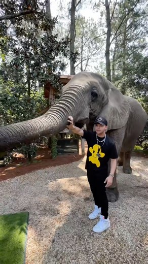 8.2K views · 28 reactions | Manifesting your 2024 travel plans! | Austin Sprinz | Facebook