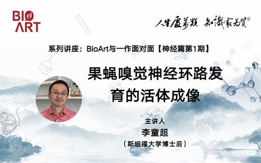 《果蝇嗅觉神经环路发育的活体成像》主讲人：李童超（斯坦福大学博士后）#BioArt与一作面对面#神经篇