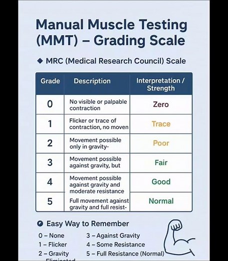 Manual Muscle Testing (MMT) in one short video Perfect for BPT students and #PhysioNotes