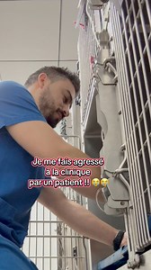 5.2M views · 94K reactions | il m’a laissé des traces, j’ai déposé plainte à l’office nationale des chats mignons ! #dr_handi_veto #chat #vet #veterinaire @à la une Docteeur Handi Dahmana | Docteeur Handi Dahmana | Facebook