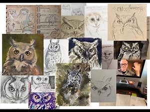 How to Draw Owls: Feathers, Textures, and Environment