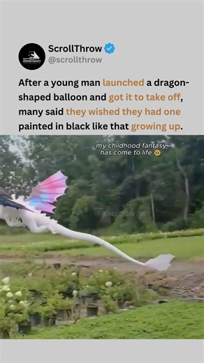 Guy's "Flying Dragon" balloon launch has the internet wishing they had this as a kid 😭🐉 #viral