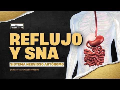 REFLUJO no erosivo y sistema nervioso autónomo: cómo el vago CAMBIA tu razonamiento clínico