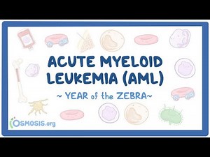 Acute myeloid leukemia (AML) (Year of the Zebra 2026)
