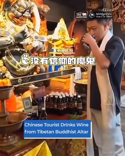 Voice of Tibet on Instagram: "རྒྱ་རིགས་ཡུལ་སྐོར་སྤྲོ་འཆམ་པ་ཞིག་གིས་བོད་བརྒྱུད་ནང་བསྟན་རིག་གཞུང་ལ་ཁྱད་གསོད་བྱས་པར་བོད་མི་ཚོས་སྐྱོན་བརྗོད། A video circulating online showing a Chinese tourist sipping wine offered at a Tibetan Buddhist altar has sparked widespread outrage among Tibetans in Tibet. The footage, which also appears to show the individual pouring wine into a butter lamp at the shrine, has drawn sharp criticism for violating the sanctity of a religious space. Online commentators condemne