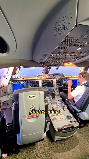 What Pilots Do on Long Flights