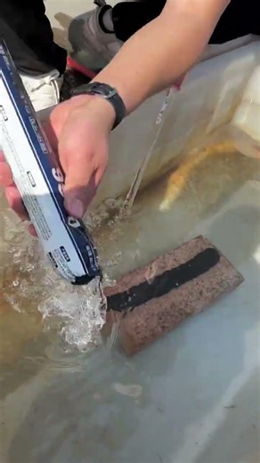 This Adhesive Can Hold Anything! 😳⚡shorts#youtubeshorts#viral#trending
