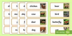 Animals Photo Word Cards