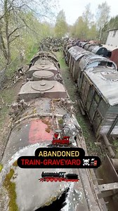 139K views · 12K reactions | Abandoned Train  Graveyard ☠️ ~...