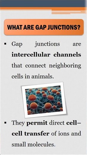 What Are Gap Junctions? | #biology | #shorts | #csirnetlifescience