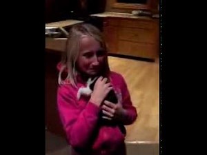 Surprise Birthday Kitten