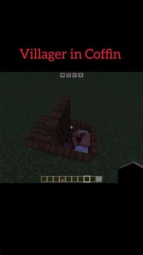 Villager in coffin ⚰️ #shorts #minecraft