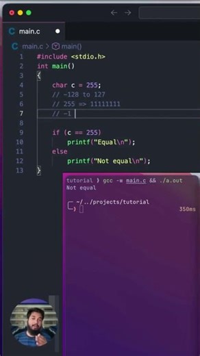 Why 255 is sometimes NOT 255 in C #coding