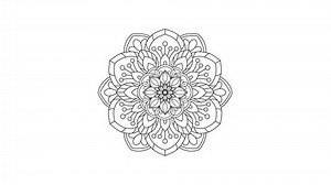 Abstract Circular Monochrome Mandala Pattern Seamless Stock Footage Video (100% Royalty-free) 3450642651 | Shutterstock