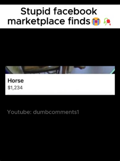 funny marketplace finds #xyzbcafypシ #deadinternettheory #marketplacefacebook #bigdc #brainrot