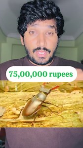 3.4M views · 44K reactions | ये कीड़े को कभी मत मारना  #fact #facts #knowledge #science #information #education | Dayaintech | Facebook