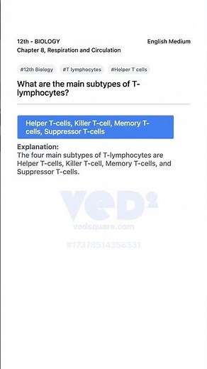 12th Biology T lymphocytes Subtypes Explained