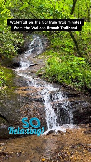 2.2K views · 56 reactions | Wallace Branch Trailhead of the Bartram Trail is located only minutes from downtown Franklin and features this beautiful waterfall less than 2/10 of a mile from the trailhead. If you’re up to the challenge, William’s Pulpit is two miles up the trail where your reward is an amazing view of the Mill Creek area below. | Discover Franklin NC | Facebook