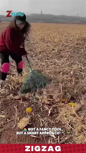 Simple & Durable Hand Tools for Clearing Post-Harvest Corn Stalks & Cobs