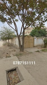 Afghan House Group on Reels