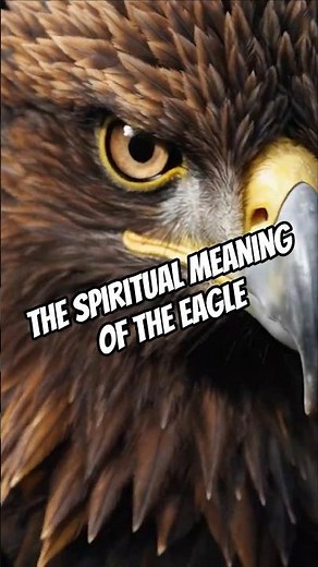 The Spiritual Meaning of the Eagle