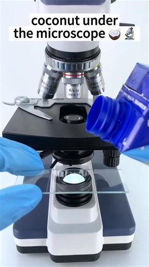 coconut under is beautiful at 400x under a microscope!#microscope | Microscope 4You